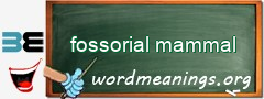 WordMeaning blackboard for fossorial mammal